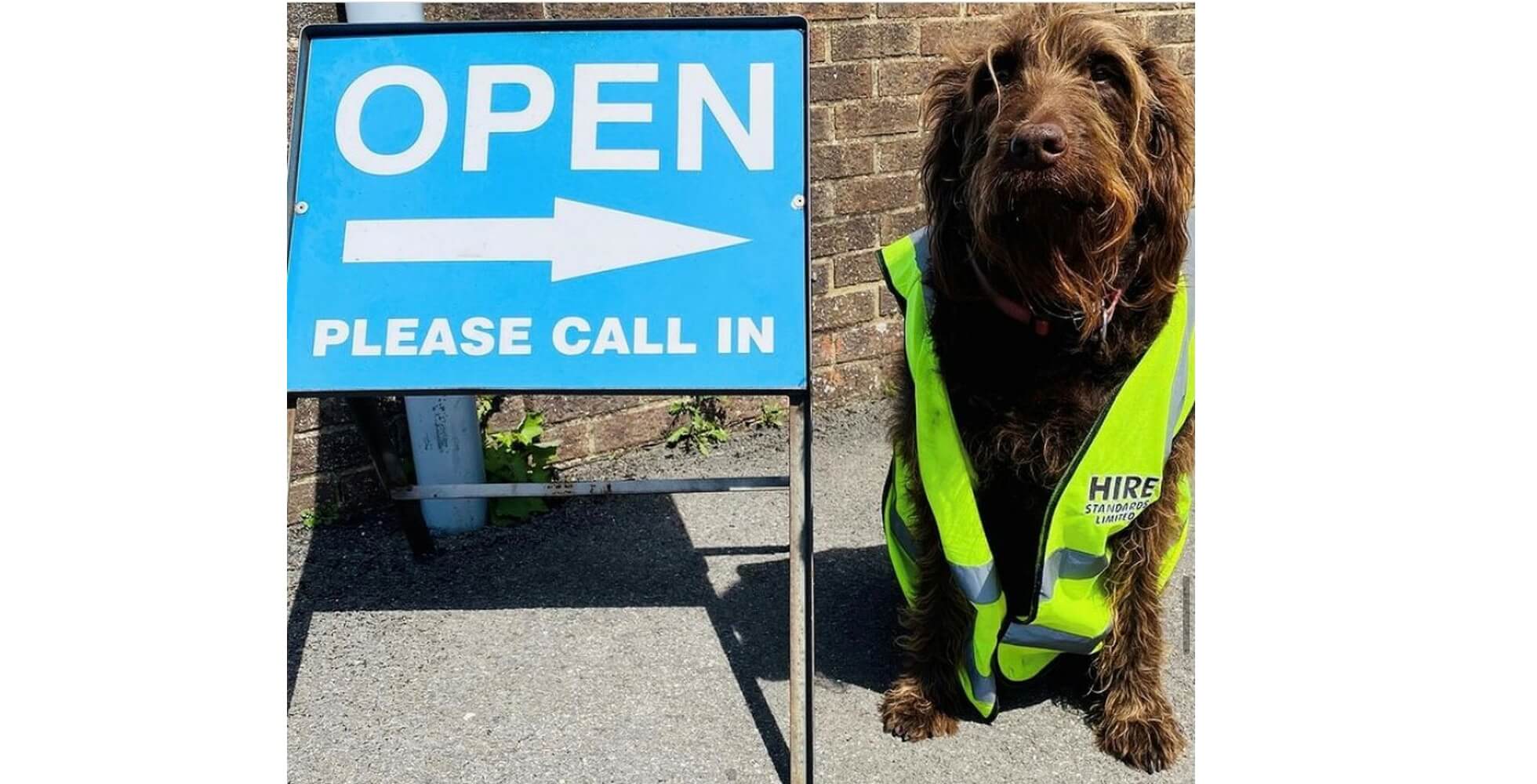 Hire Standards is Open for Business